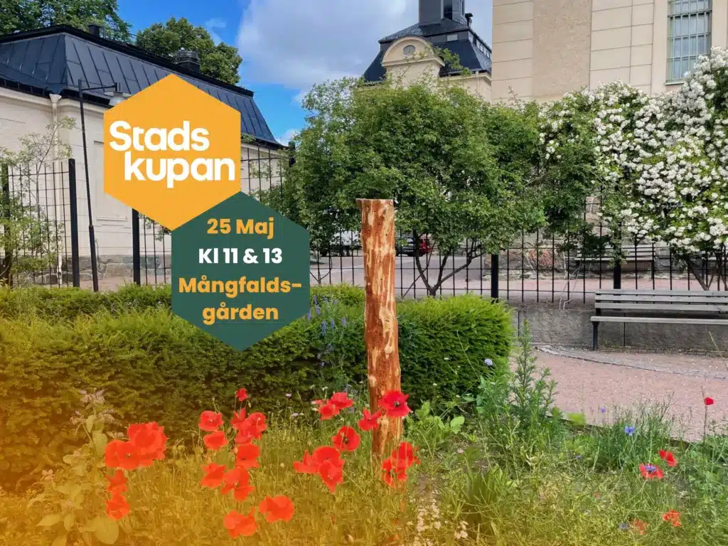 Vildbi-inventering, stadskupans event 25 maj 2025